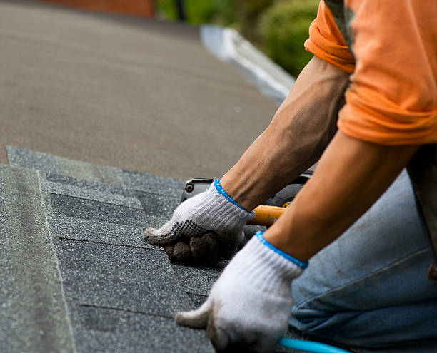 Best Roof Repair Services  in Larned, KS