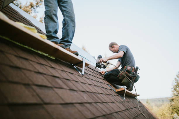 Best Residential Roofing Contractor  in Larned, KS