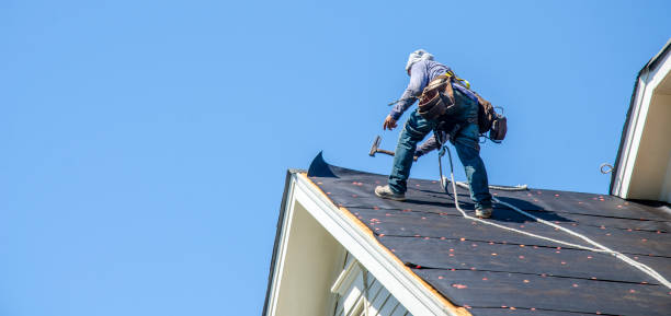 Best Roof Repair Services  in Larned, KS