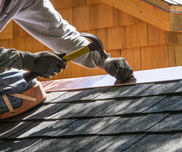 Roof Gutter Cleaning in Larned, KS